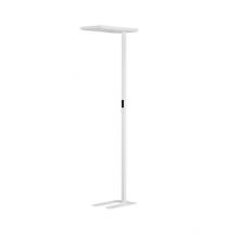 Biolight lampa podłogowa led 19W 957lm 4000K biała